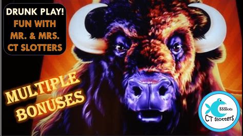 beer slots|buffalo stampede slot machine free play.
